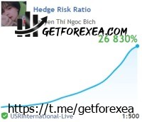 hedge risk ratio